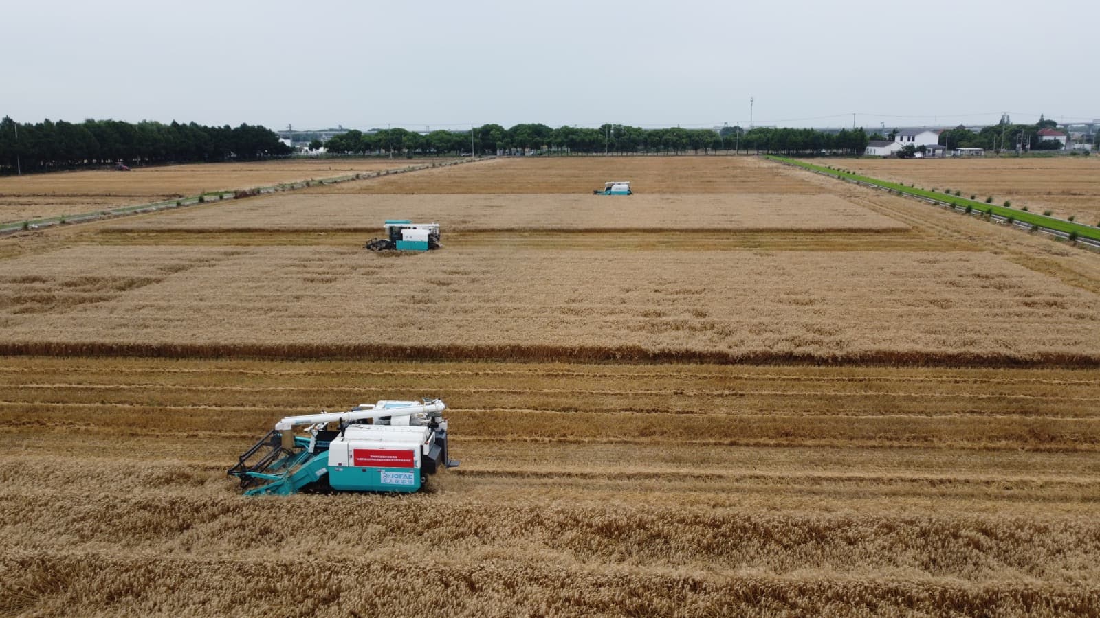Aerial view of JOFAE combine harvesters working across rice fields