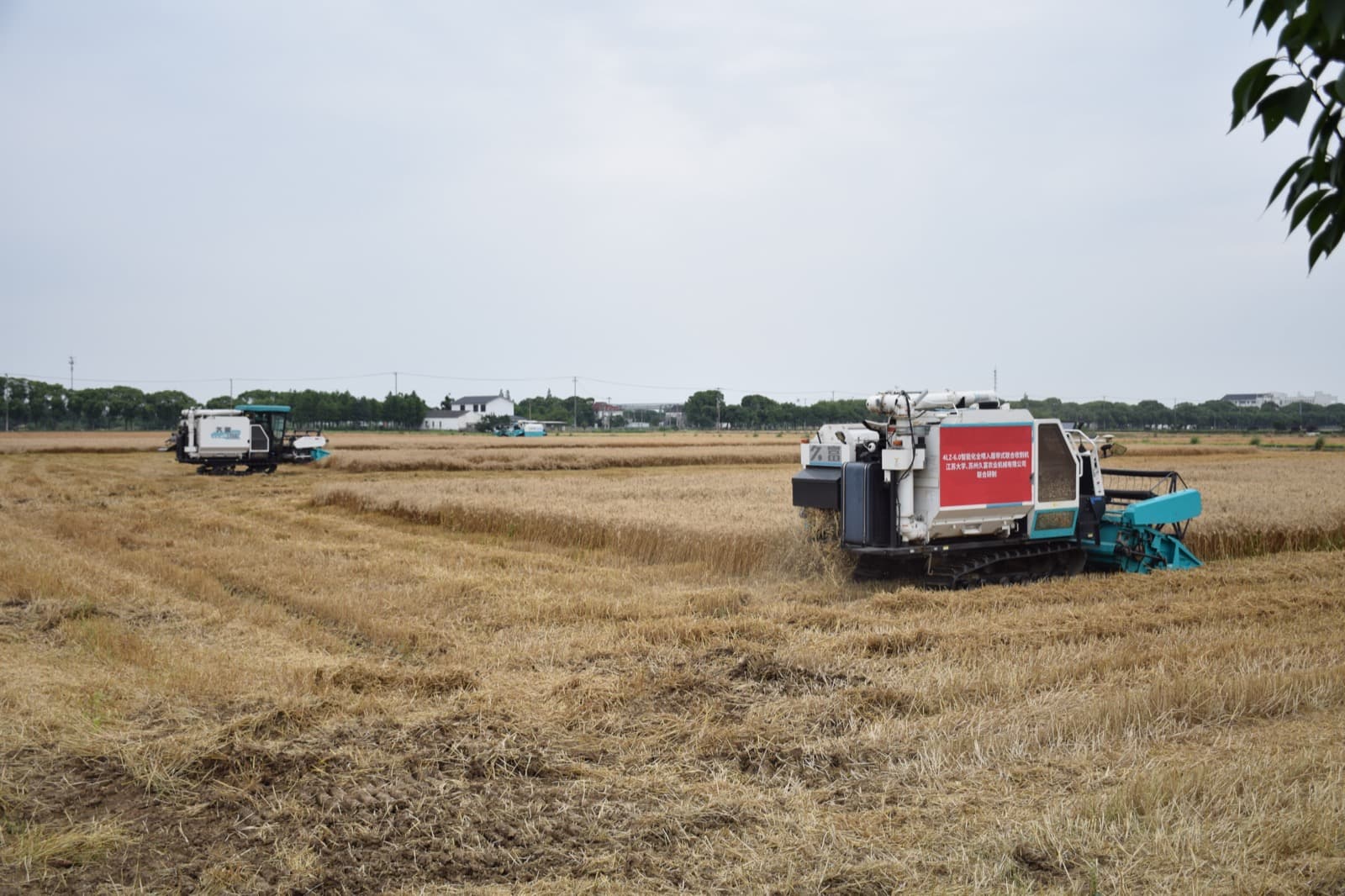 JOFAE combine harvesters working a rice field
