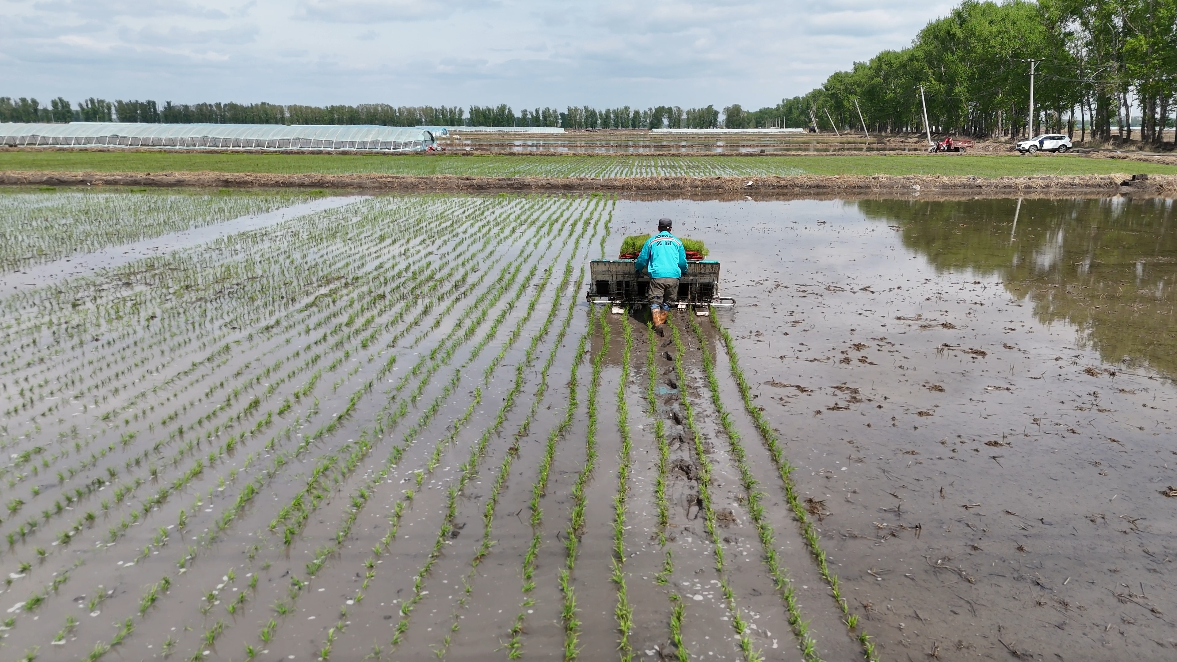 JOFAE rice transplanter planting seedlings in an open paddy field